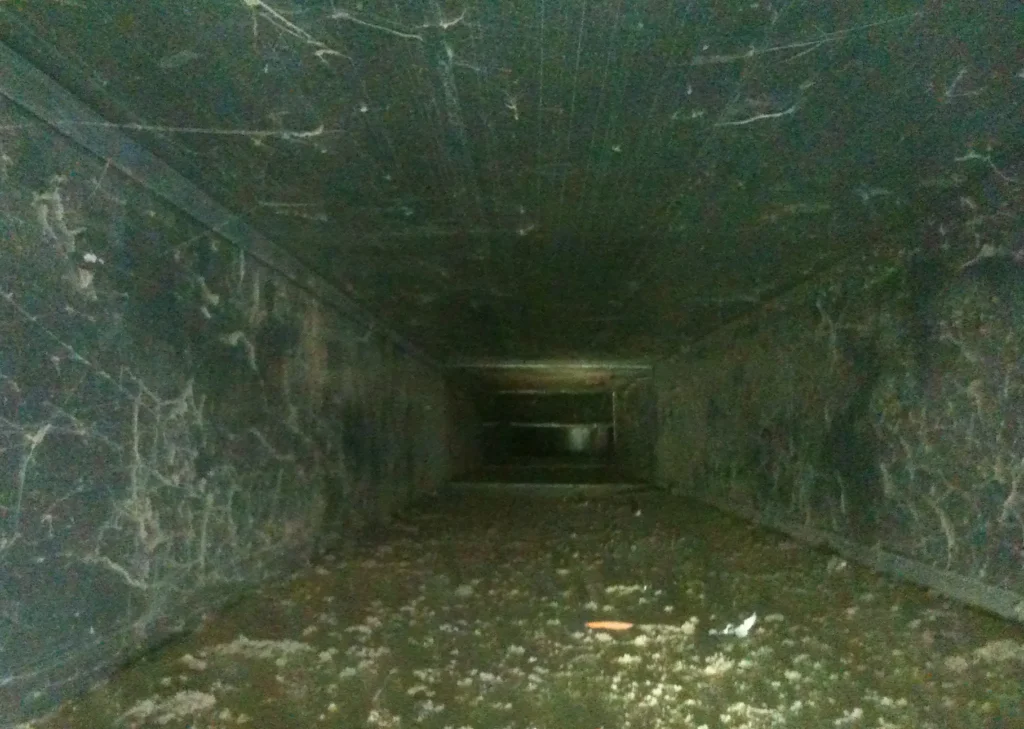 A dark, grimy tunnel with cobwebs and dirt scattered across the floor and walls, resembling an air duct in dire need of cleaning. The tunnel extends into the distance with a faint light visible at the far end, creating an eerie and abandoned atmosphere.